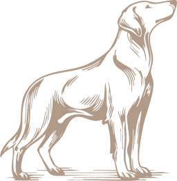 Bildmarke Hund